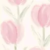 cyca_72