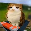 rami_564