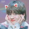 .mishu98