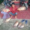 ciwel.ireng7