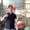fb.tienbt