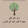 ali932591