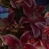 ___xoilm7