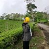 adebayu44