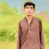 ali465499