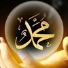 nourelhuda462