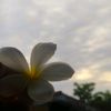 thein__hmwet__thu