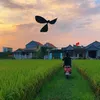 dieuthu_.com