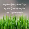 theresa.hnin