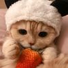 strawberryaisscream
