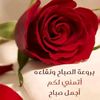 mansour.ghanem5