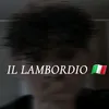 lleg07