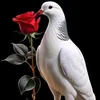 user5449887618746