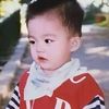 cheol_gf_upilrebus95