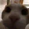 rixy_60