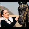 06sevcan