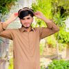ha.sherzad3