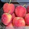 gummypeach04