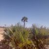 user7070779381444