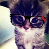 leeknom8sg.v7