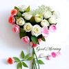 shahbazbaloch6077
