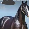 oscar.acua.appley