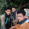 user5449186169722