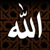 .user6155223025019