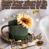 tanialpez84