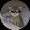 monkey_dluffy1266982