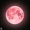 lunaticaconstelada