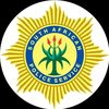 saps391
