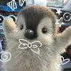 thainaraisabelyca