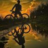 tabo8198