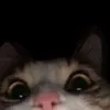 lilyvok1