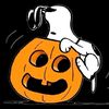 spoookyy31