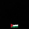 hadeerhassan2095