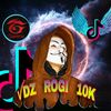 dz_rogi_10k