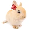 bloxycolacat