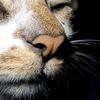 diego_5505