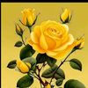 md.reajul.haque