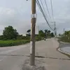 lynguynthbo1
