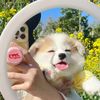 luckynono1