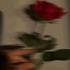 corinay_m_sieprefiel