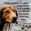 memepicosita