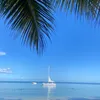 fansy_trip