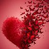 user9511209069494