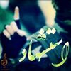 user8103324999533