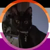 kiki.catz