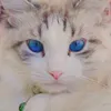 masha.2401
